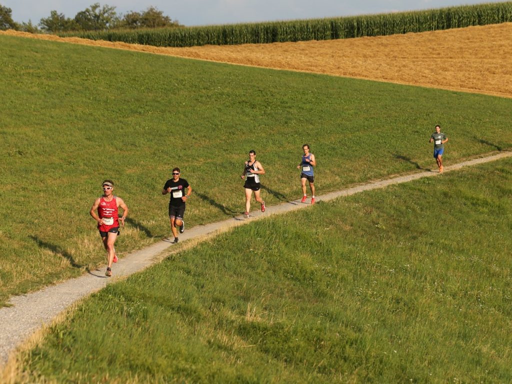 5 Läufer in Abstand auf einem schmalen Weg in einer Wiese