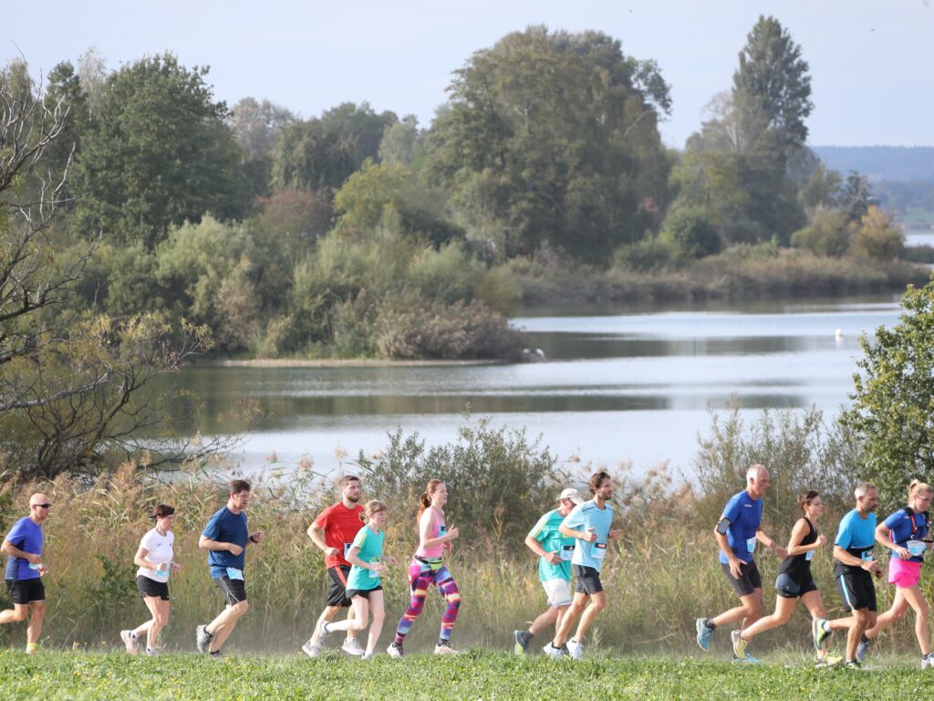 Läufer laufen dem Greifensee entlang